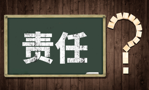 担保人担保责任