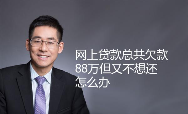 网上贷款总共欠款88万但又不想还怎么办 