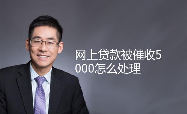 网上贷款被催收5000怎么处理 