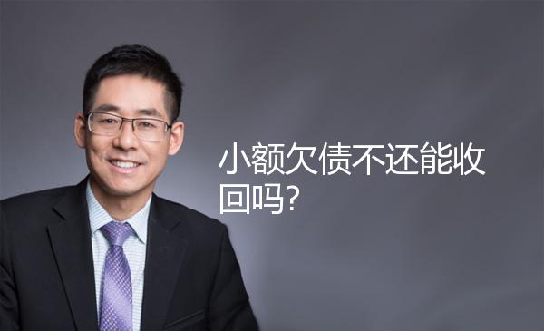 小额欠债不还能收回吗? 