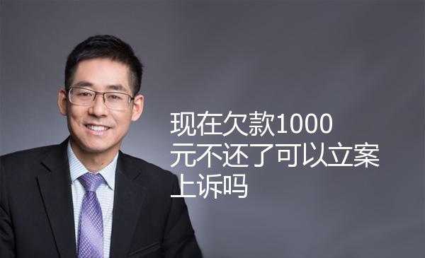 现在欠款1000元不还了可以立案上诉吗 