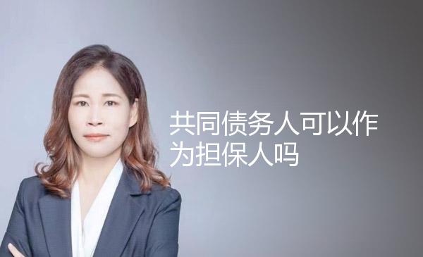 共同债务人可以作为担保人吗 