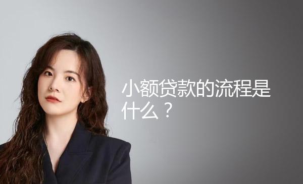 小额贷款的流程是什么？ 