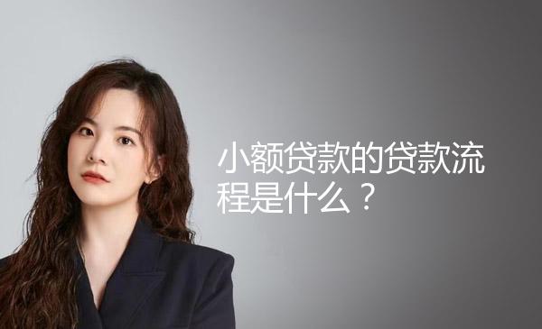 小额贷款的贷款流程是什么？ 